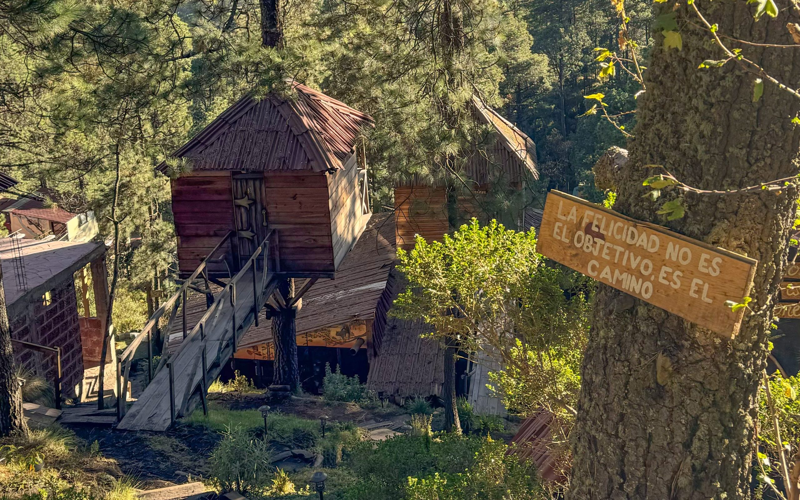 Cabañas en medio del bosque