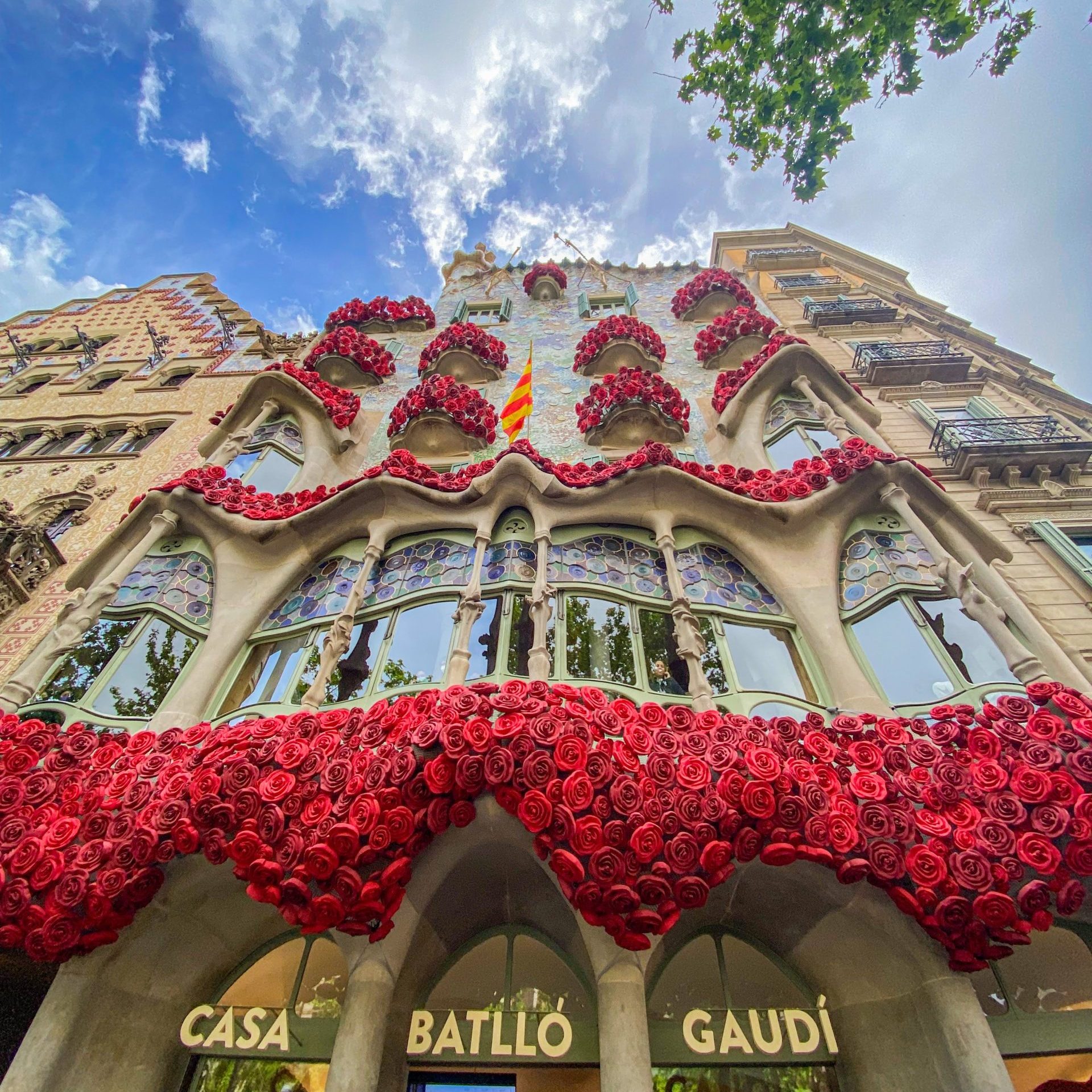 Casa BatlloSant Jordi